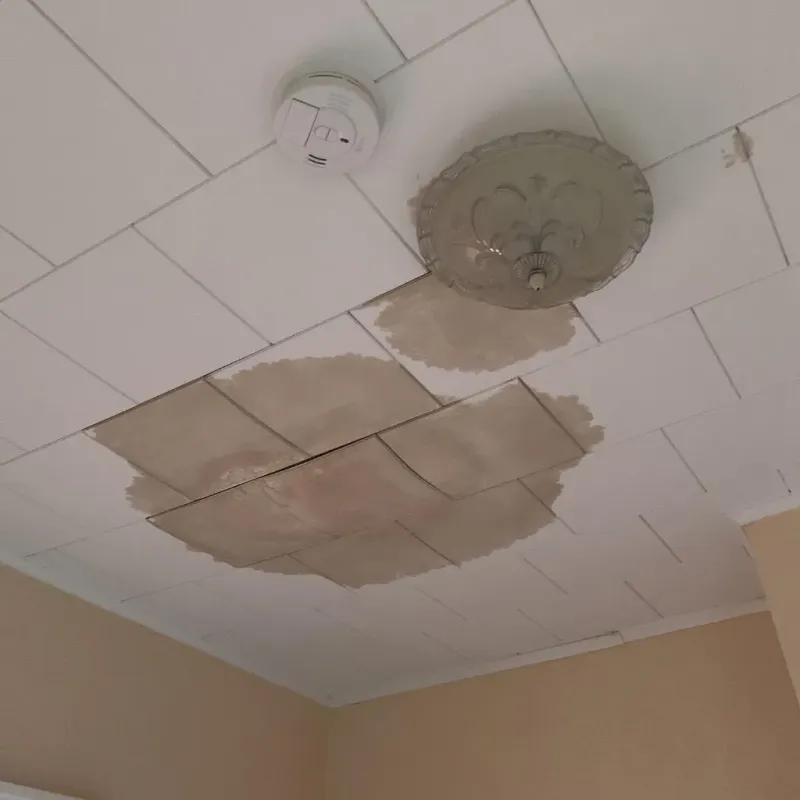 Ceiling Water Damage Repair in Monticello, MN