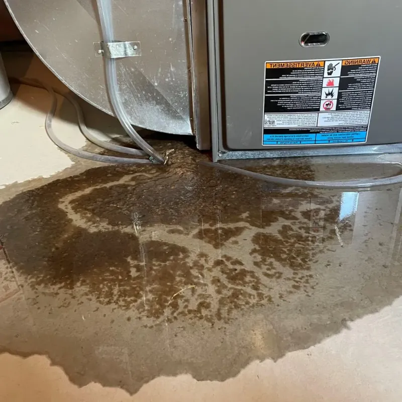 Pipe Burst and Leak Restoration in Monticello, MN