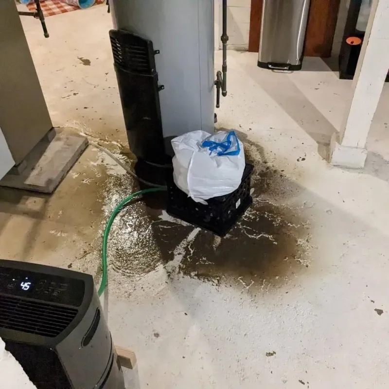 Sewage Backup Cleanup Service in Monticello, MN
